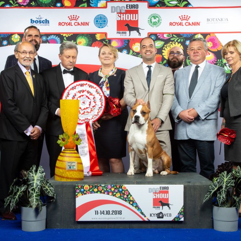 Foto Polonia BEST IN SHOW Kynoweb