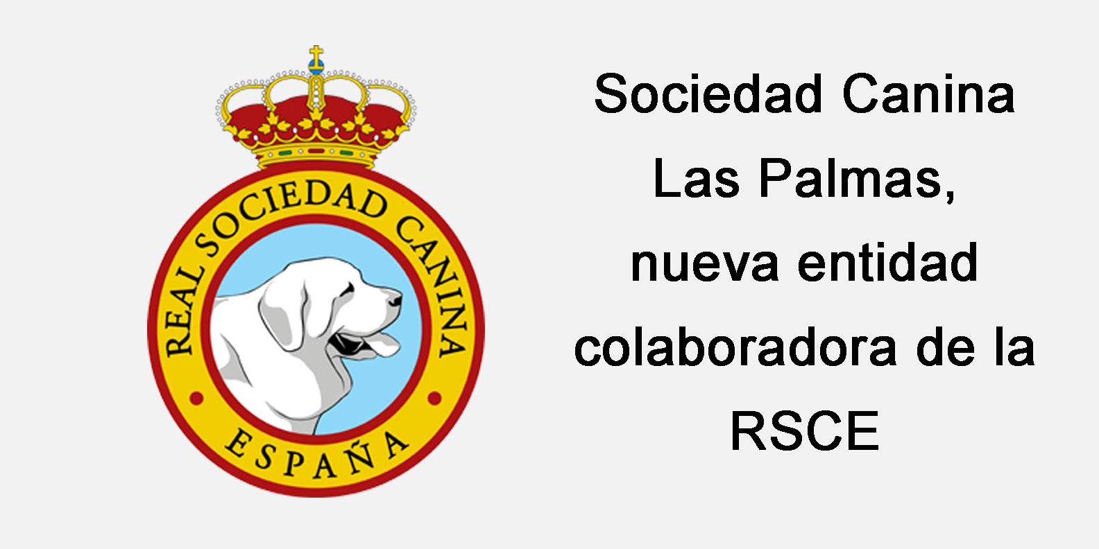 Sociedad Canina Las Palmas