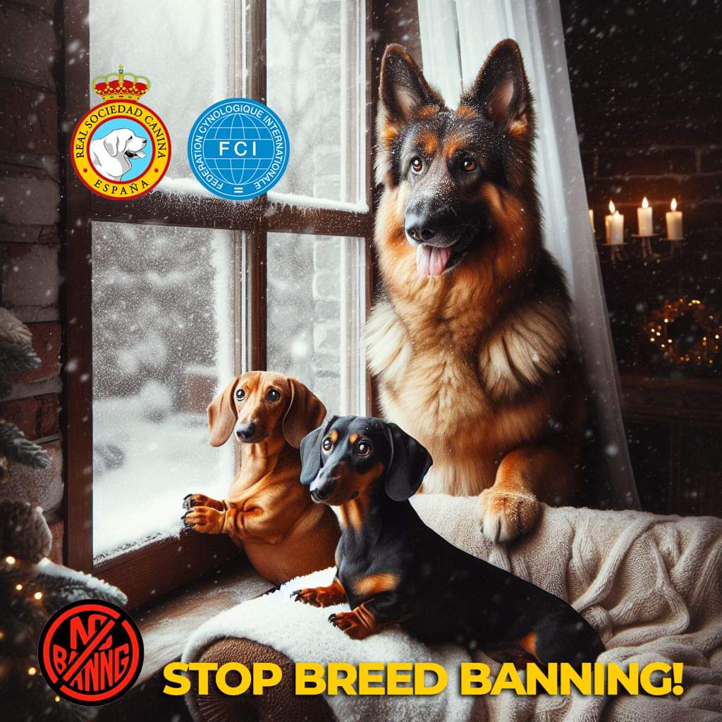 FOTO NOTA DE PRENSA NO A LA PROHIBICIÓN DE RAZAS CANINAS