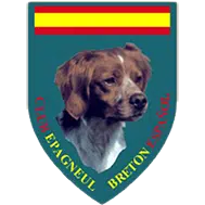 Epagneul Breton