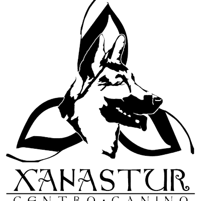 XajBGW1r_400x400