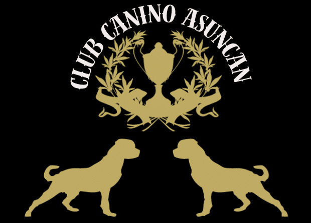 asuncan
