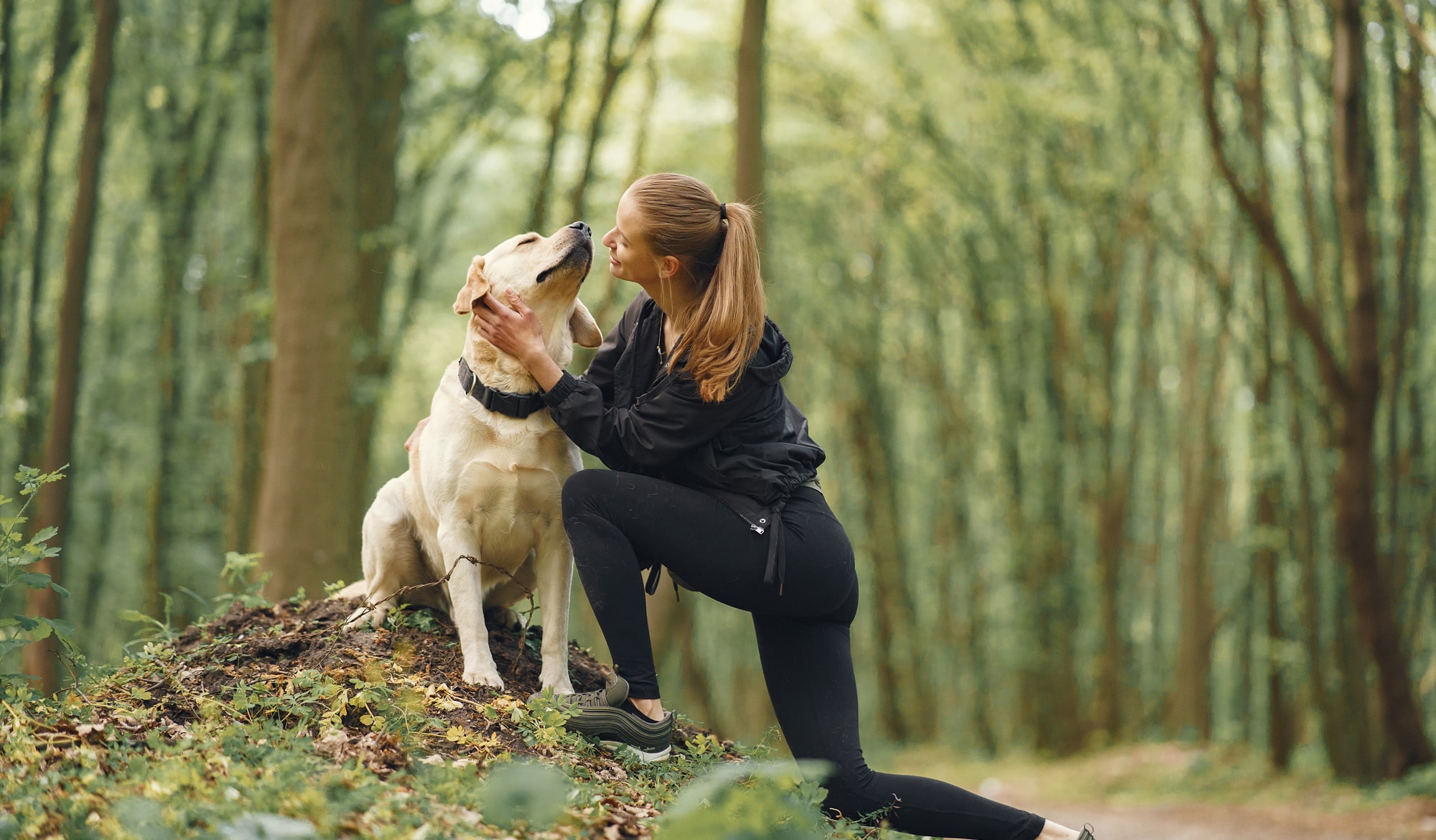 World Agility Open Championship 2025 Location 