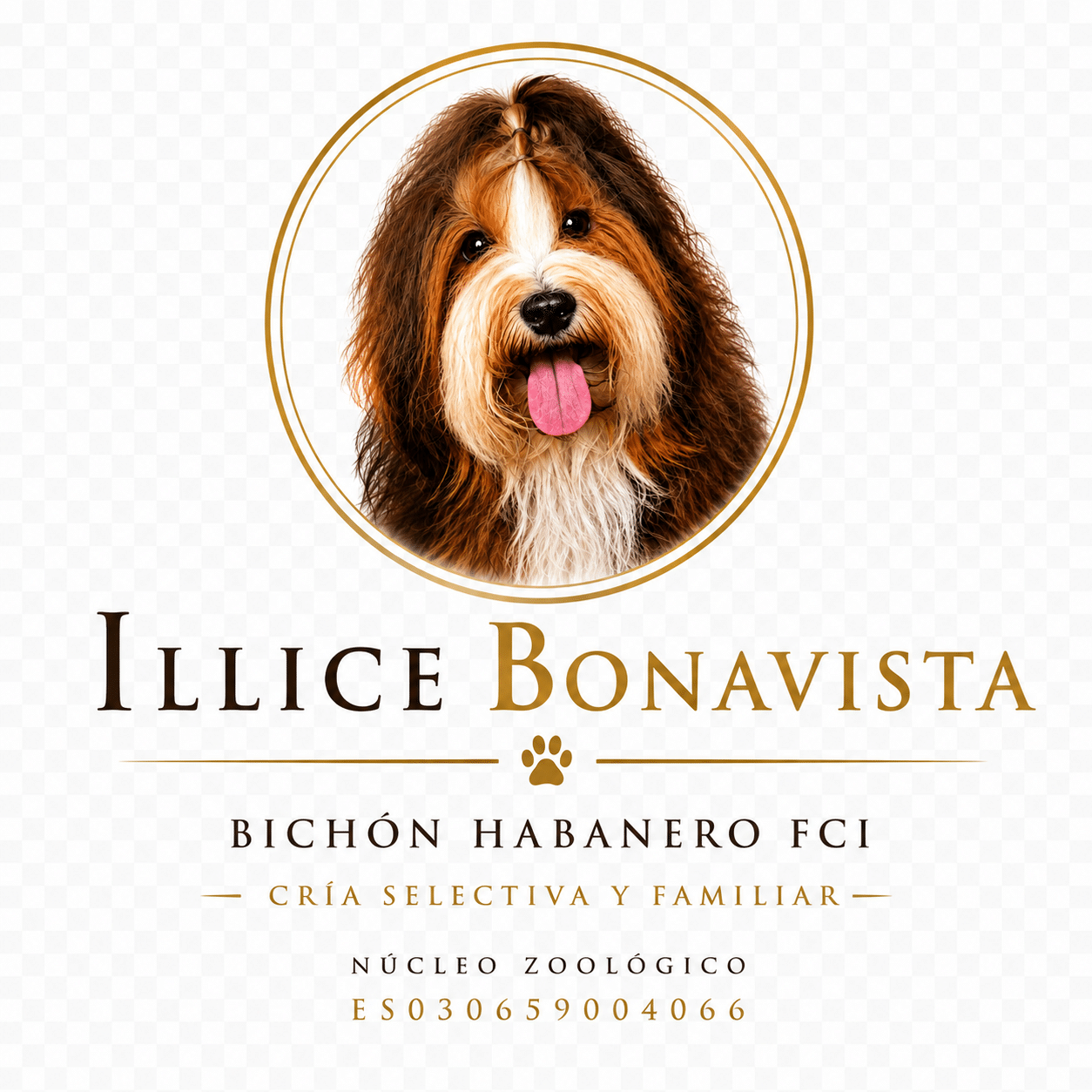 Illice_Bonavista-logo_nuevo