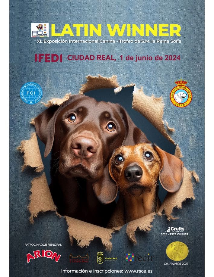 Cartel_Expo_2024-Latin Winner-web-