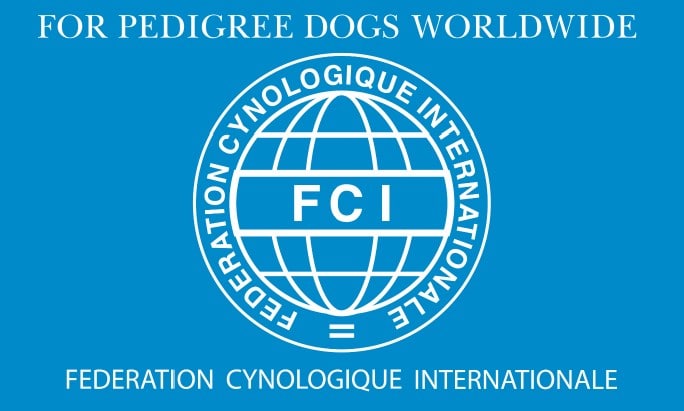 Imagen_FCI