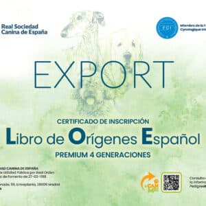 PedigreeRSCE de Exportación (4 generaciones)