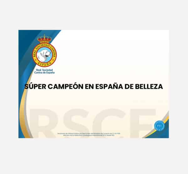 Título de Súper Campeón en España