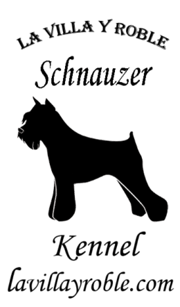 VILLA_Y_ROBLE-logo