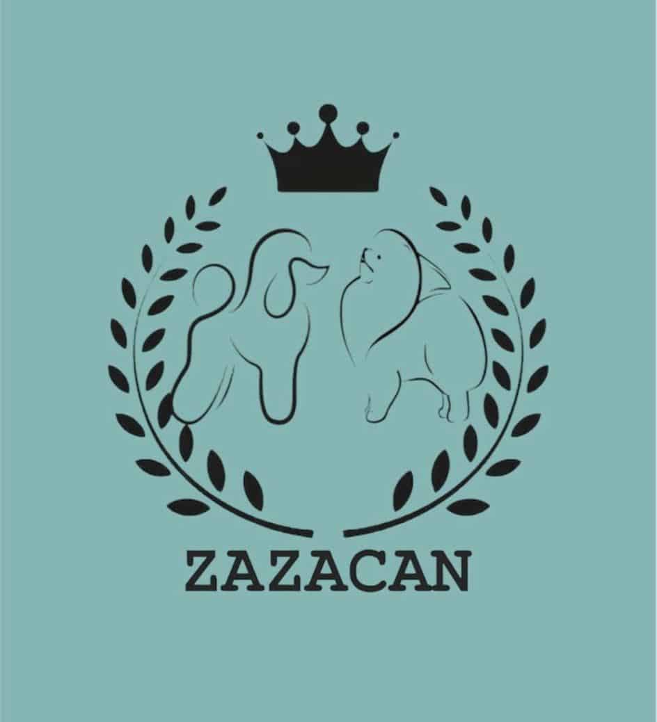 VOM HAUS ZAZA-logo