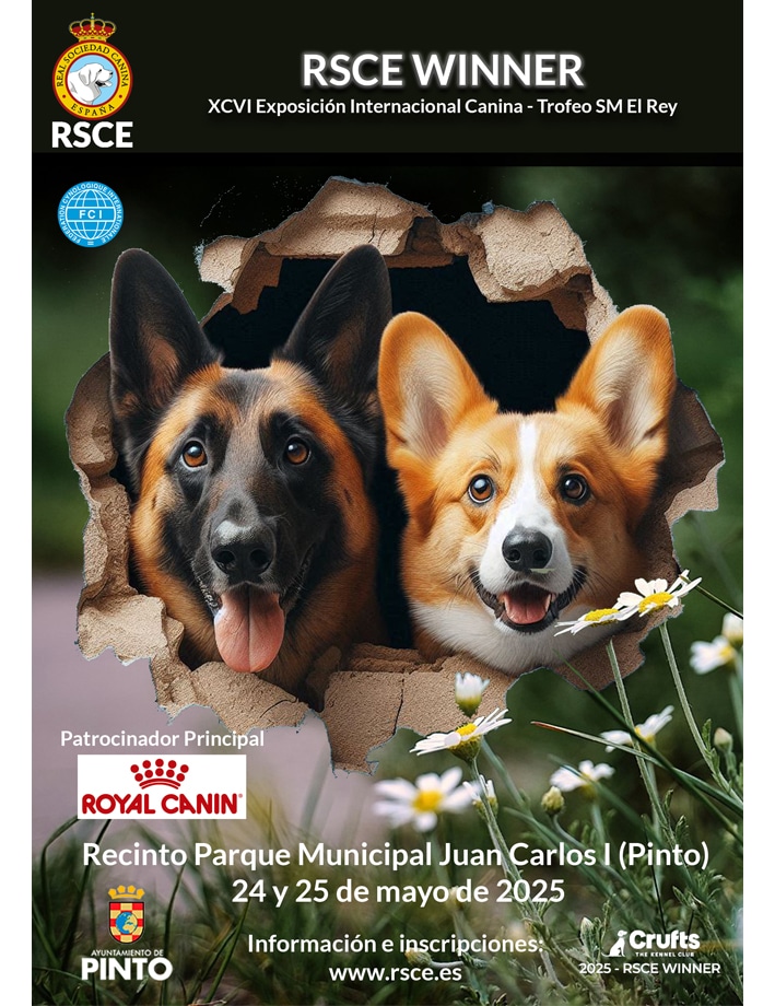 Cartel_Expo_2025-RSCE Winner-web-