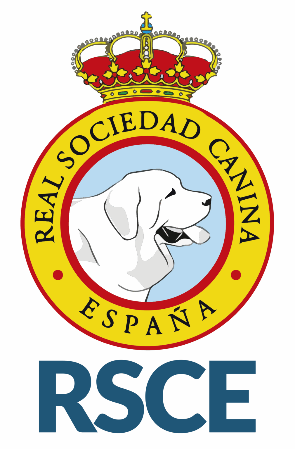 LOGO-RSCE-2025