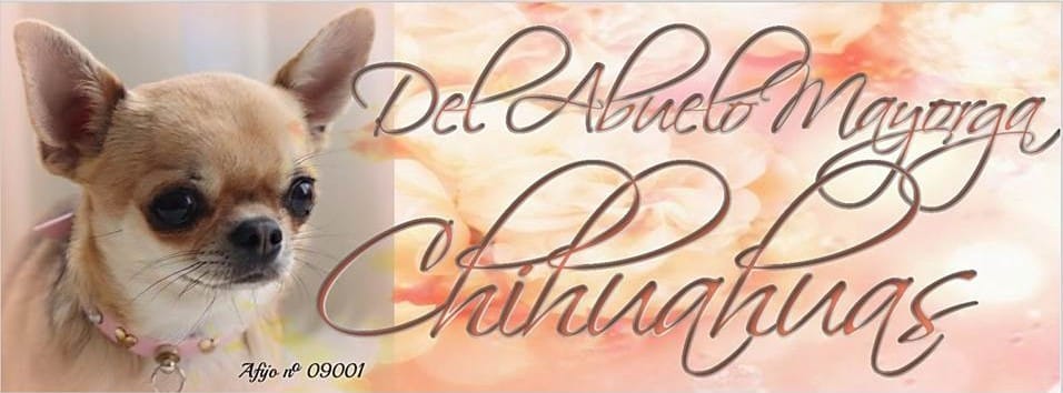 DEL ABUELO MAYORGA-logo