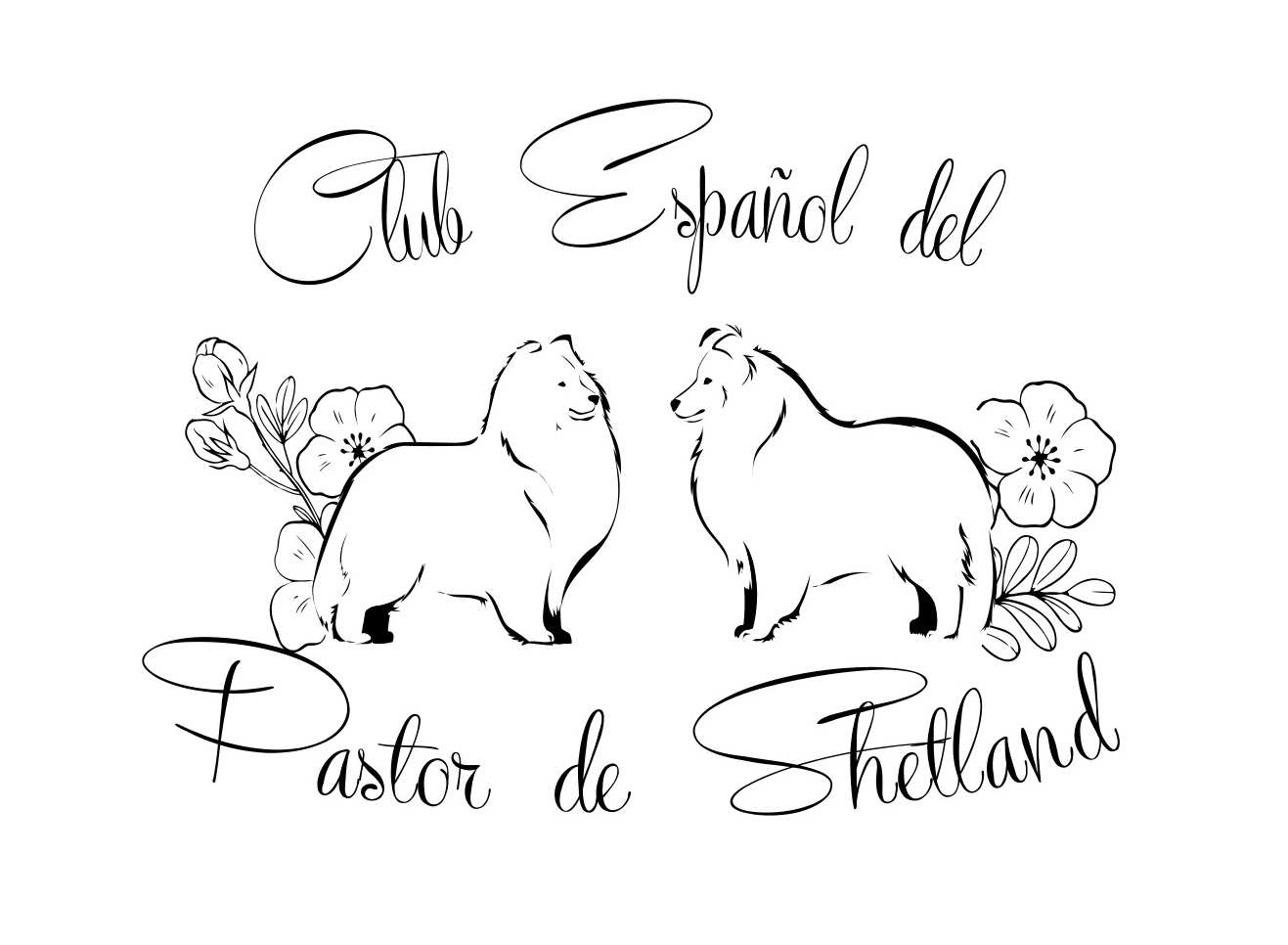 Logo_Pastor_Sheltand