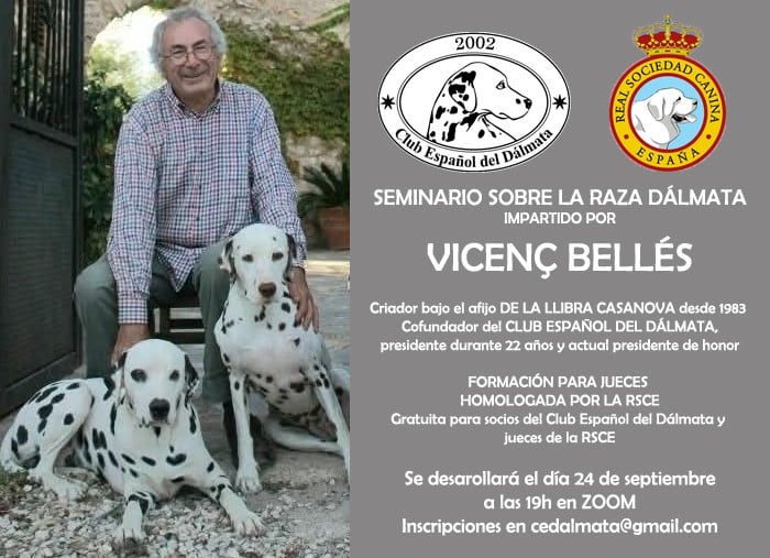 SEMINARIO DÁLMATA