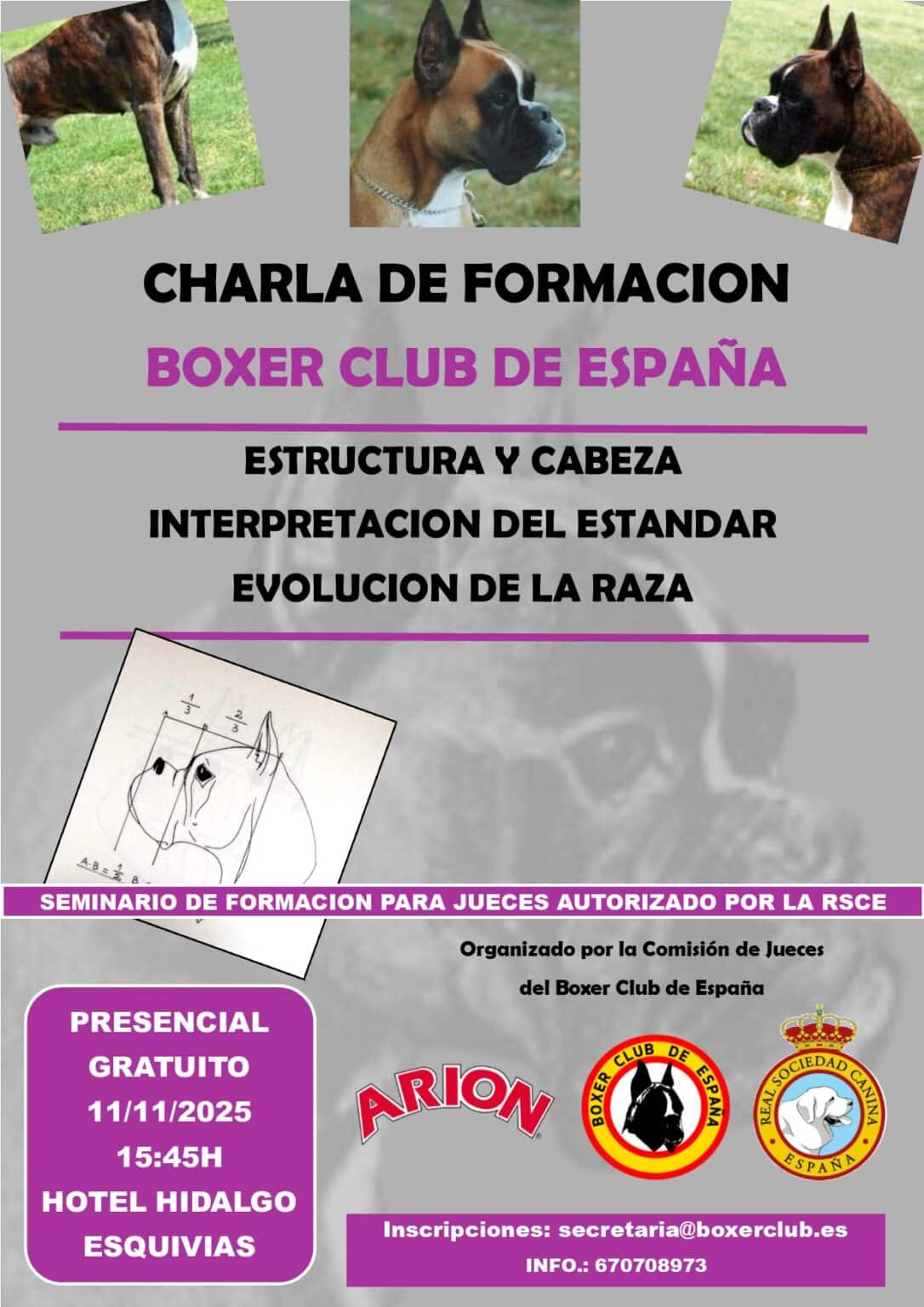 Seminario_Boxer_nov2025