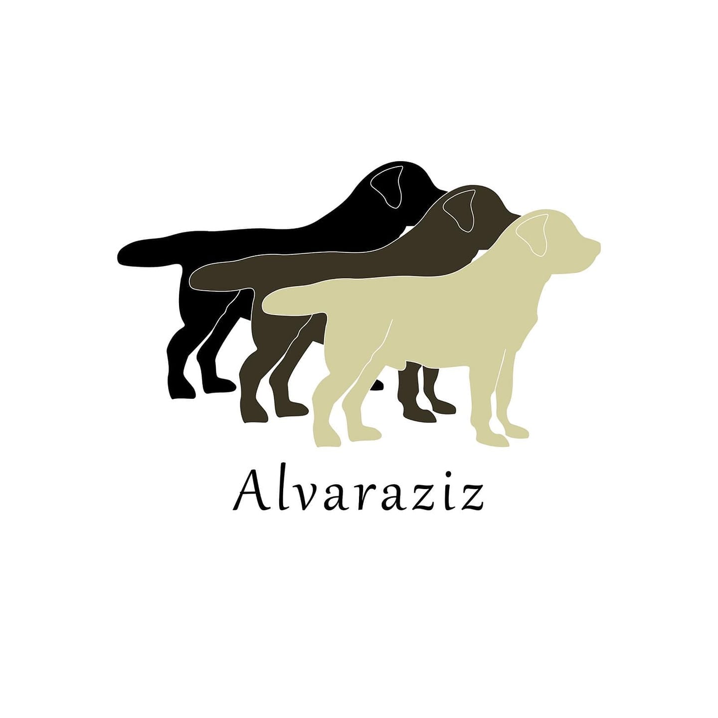 ALVARAZIZ - logo