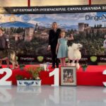 Expo_Granada_16feb25_IDS-Infantiles