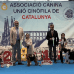 Expo_Martorell_3may25_NDS-Infantiles