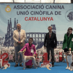 Expo_Martorell_3may25_NDS-Juveniles