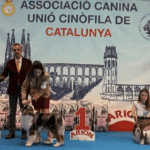 Expo_Martorell_4may25_IDS-Juveniles
