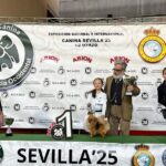 Expo_Sevilla_1mar25_NDS-Infantiles