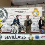 Expo_Sevilla_1mar25_NDS-Juveniles