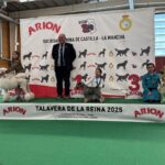 Expo_Talavera_22mar25_NDS-Infantiles