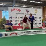 Expo_Talavera_23mar25_IDS-Juveniles