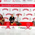 Expo_Valladolid_22feb25_NDS-Intantiles