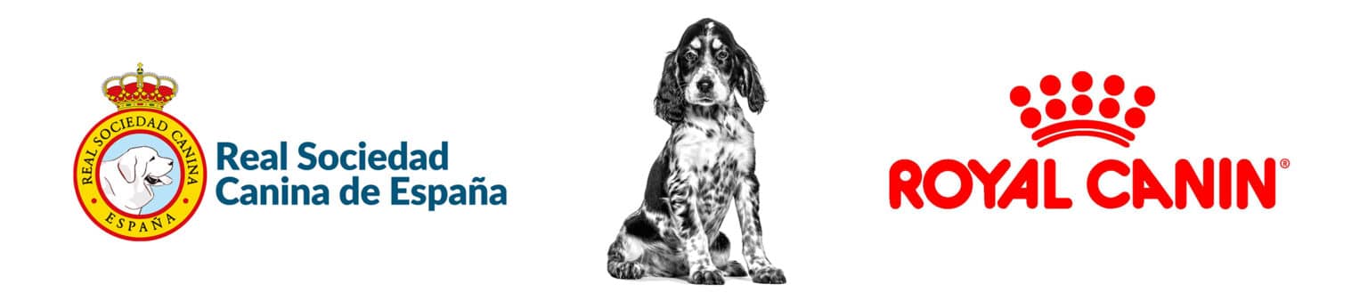 Banner_RSCE-RC-formacion