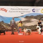 Exp. Int. Lugo ene26 - Infantiles