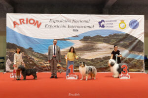 Exp. Int. Lugo ene26 - Infantiles