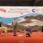 Exp. Int. Lugo ene26 - Juveniles