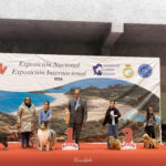 Exp. Nal. Lugo ene26 - Infantiles