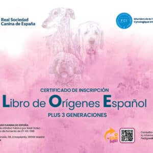 Mejora a PedigreeRSCE Plus (LOE) 3 generaciones SIN TRANSFERENCIA