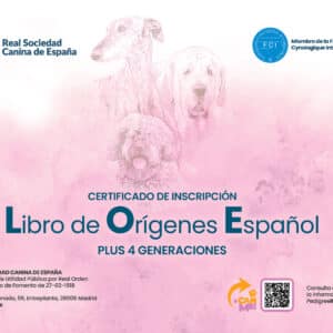 Mejora a PedigreeRSCE Plus (LOE) 4 generaciones SIN TRANSFERENCIA