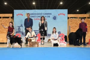 Reus-Int-ene26-domingo_Infantiles