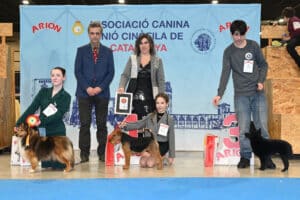 Reus-Int-ene26-domingo_Juveniles