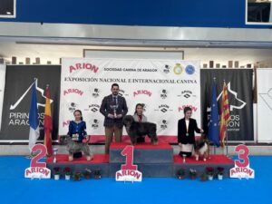 Exp. Int. Aragón ene26 - domingo Infantiles