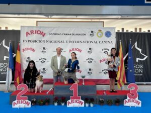 Exp. Nal. Aragón ene26 - sábado Infantiles
