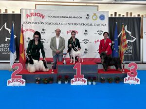Exp. Nal. Aragón ene26 - sábado Juveniles