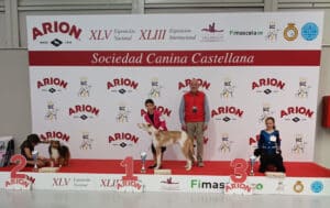 Exp.Int.Valladolid-Pres.Inf.-feb26