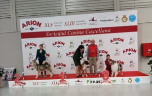 Exp.Int.Valladolid-Pres.Juv.-feb26
