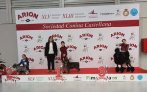 Exp.Nal.Valladolid-Pres.Inf.-feb26