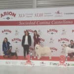 Exp.Nal.Valladolid-Pres.Juv.-feb26