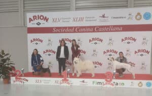 Exp.Nal.Valladolid-Pres.Juv.-feb26