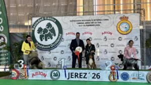 Exp. Nal. Jerez feb26 - Juveniles