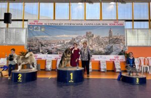 Exp.Int.Loja-Pres.Infantiles