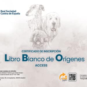 PedigreeRSCE Access (LBO) CON TRANSFERENCIA